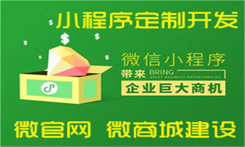 張家口網(wǎng)絡(luò)公司以創(chuàng)新軟件外包服務(wù)贏得客戶(hù)滿(mǎn)意